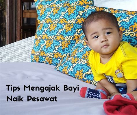 Ketika usia bayi menginjak satu bulan, waktu menyusui bayi biasanya akan berubah cukup tertata. Tips Mengajak Bayi Naik Pesawat