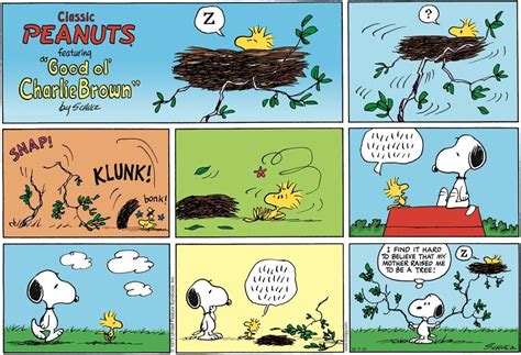Peanuts By Charles Schulz For October 07 2001 Snoopy Comics Snoopy Funny