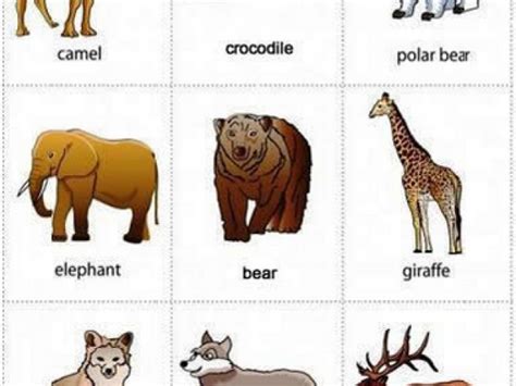 nama-hewan-dalam-bahasa-inggris-2 - Belajar Bahasa Inggris Online