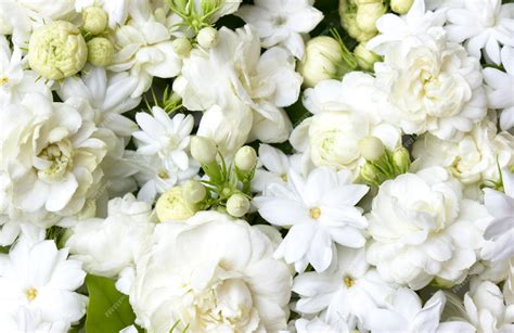 Premium Photo White Jasmine Flowers Fresh Flowers
