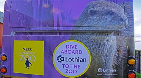 Otter Ly Awesome News Lothian Buses