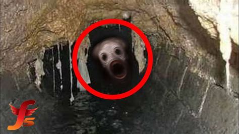 Top 5 Scary Creatures Caught On Camera In A Tunnel Cave Or Sewer Youtube