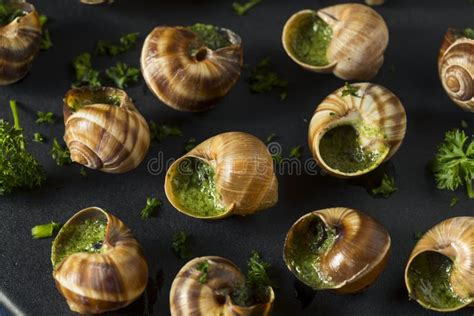 Fancy French Hot Escargot Appetizer Stock Image Image Of Mollusks