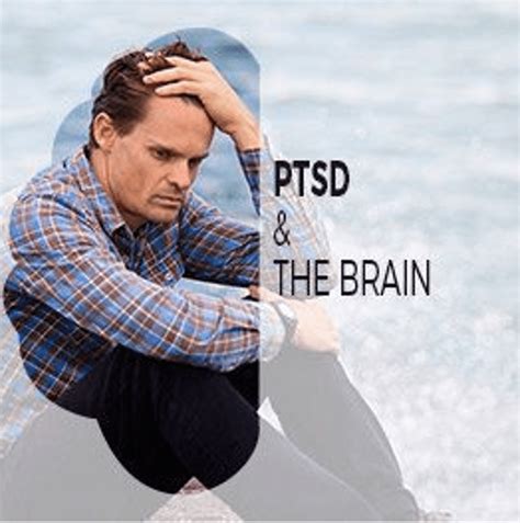 Ptsd And The Brain Cognitive Literacy Solutions Provider