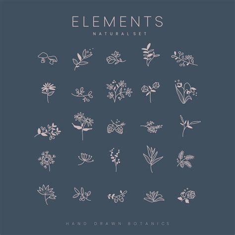 Set Of Hand Drawn Botanical Elements Vector Choose From Thousands Of