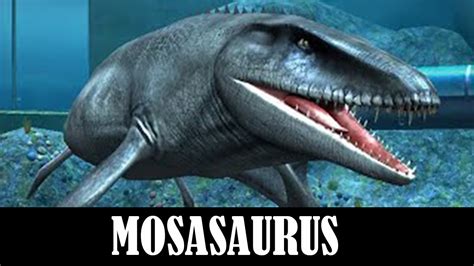 Mosasaurus Level 40 Jurassic World The Game Youtube