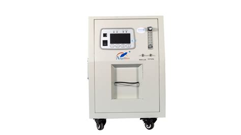 Negative ion function for 6 million per cm3 2. China 10 Liter High Oxygen Purity Oxygen Concentrator ...