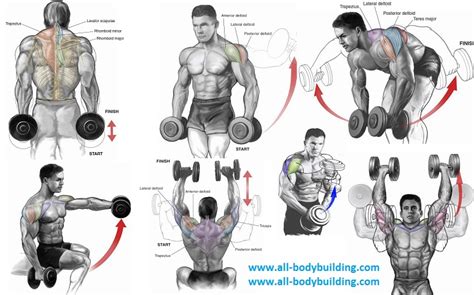 Top Dumbbell Exercises For Shoulders All Bodybuilding Com