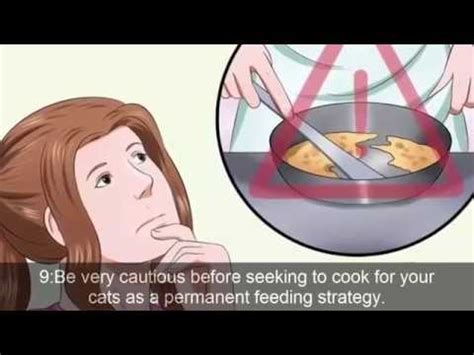 You probably think your cat's medical treatment for hyperthyroidism is the total solution to heal and maintain regular thyroid levels. Homemade cat food -Homemade Cooked cat Food - YouTube