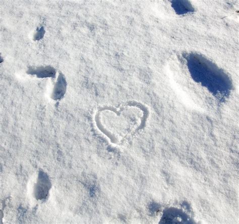Heart Shape On A Background Of Fresh Snow Texture Stock Photo Image