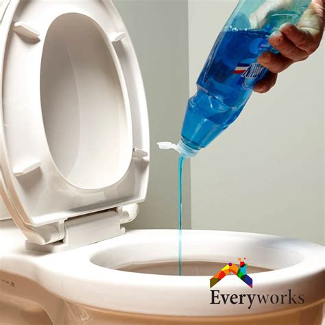 5 Diy Ways To Unclog Your Toilet Bowl Choke Everyworks Singapore 1