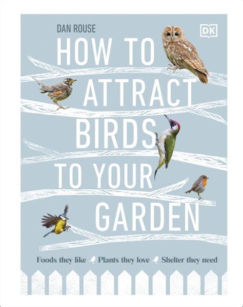 How To Attract Birds To Your Garden Dk Uk