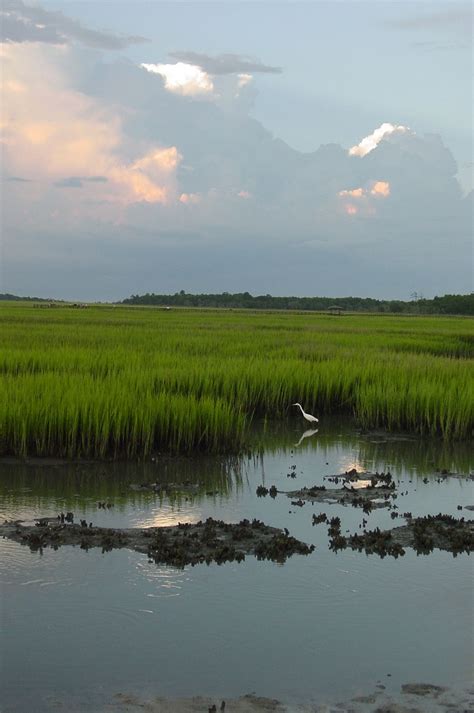 Low Country Marsh Scene Was Taken In A Favorite Place To Photograph