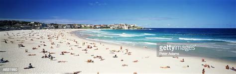Sunbathers And Swimmers Bondi Beach Australia High Res Stock Photo