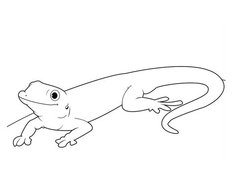Coloring pages: Gecko lizard, printable for kids & adults, free