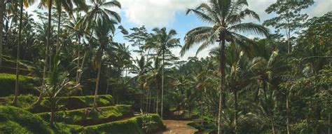 What to do in Bali? Activity Guide | Villanovo