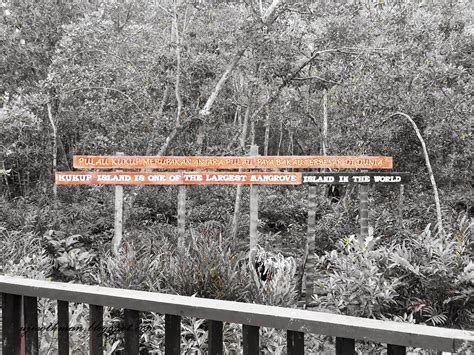 Parque nacional de la isla de kukup. Titian Perjalanan : Taman Negara Johor Pulau Kukup (Bhg. 2)