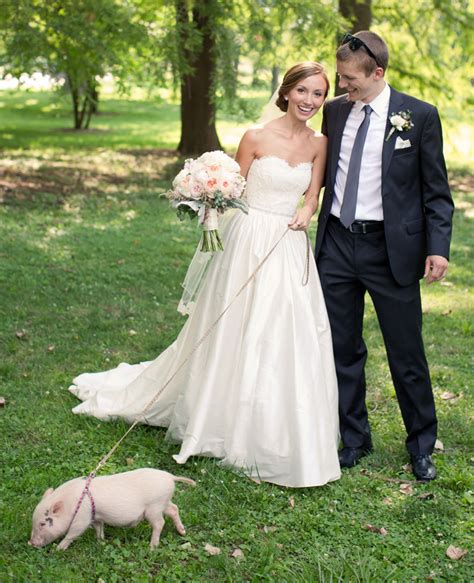 8 Adorable Animal Wedding Photos Huffpost