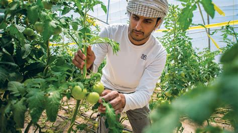 A Sustainable Agriculture And Rural Development Strategy For Oman
