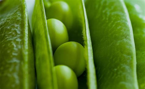 Healthy diabetes meal plans include plenty of vegetables, and limited processed sugars and red meat. Crop's UK: the finest frozen food, veg, fruit, meals and ...