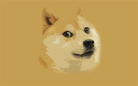 Doge Wallpapers Wallpapersafari