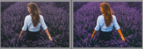 Vibrance Vs Saturation In Photography Which One To Use