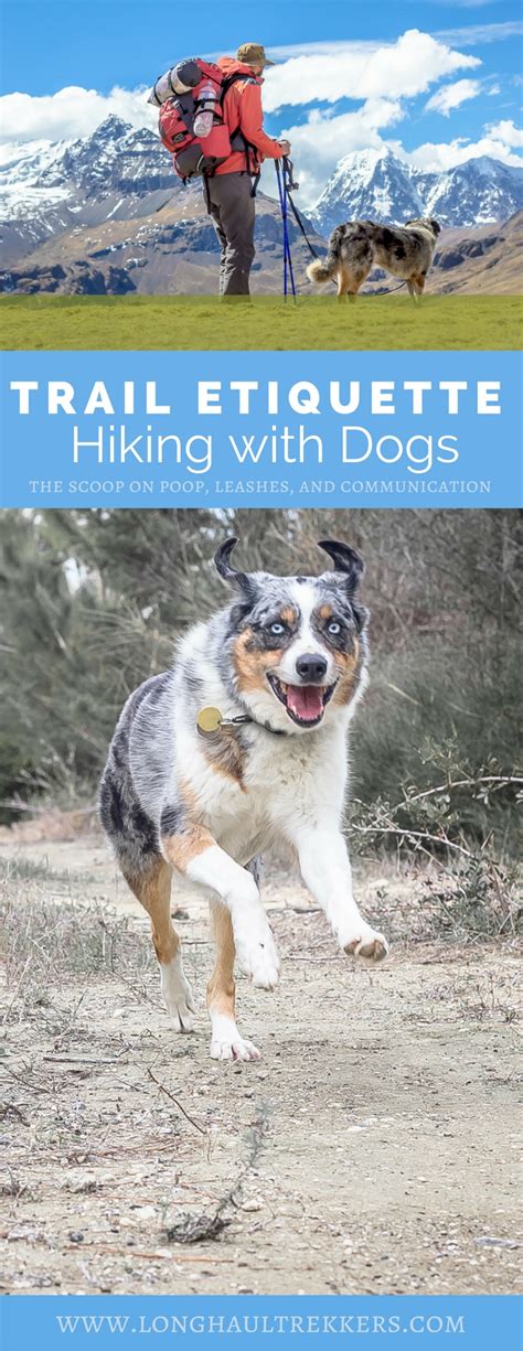 Hiking With Dogs Trail Etiquette Manifesto Long Haul Trekkers