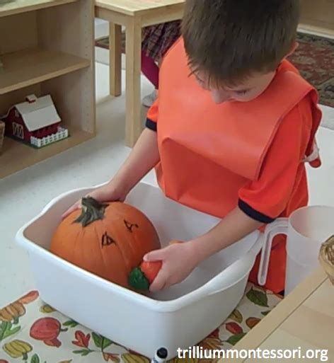 Pumpkins In Our Montessori Class — Montessori