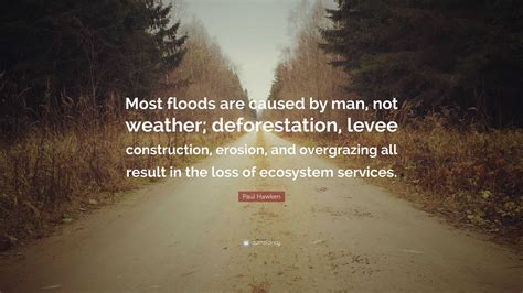 Quote About Deforestation Deforestation Slogans Eighty Per Cent Of