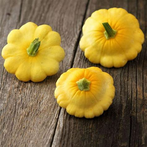 Scallop Yellow Bush Squash Seed 4 G 55 Seeds Heirloom Open