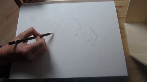 Tracing A Drawing With Neolucida Xl Youtube