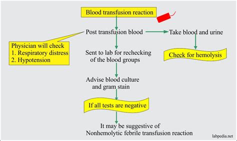Blood Transfusion Reaction Types