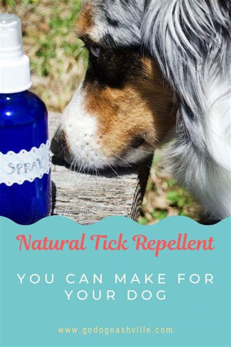 Making A Homemade Natural Tick Repellent Spray Go Dog Nashville