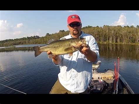 As previously mentioned, most catfish punctures happen by stepping on them or handling them after being caught. Fishing for Beginners - How to Hold a Bass - YouTube
