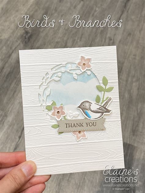 How To Make A Birds And Branches Window Card Sweet Stampin With Elaine