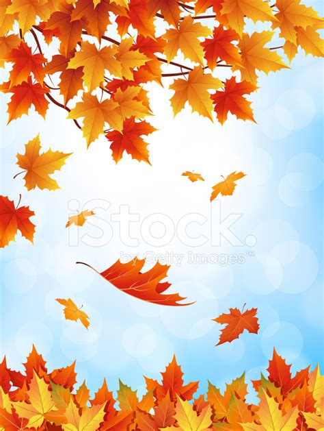 Autumn Leaves Falling With Blue Sky Stock Photos