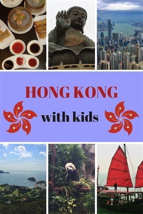 Fun Things To Do In Hong Kong With Kids Hong Kong Travel Hong Kong