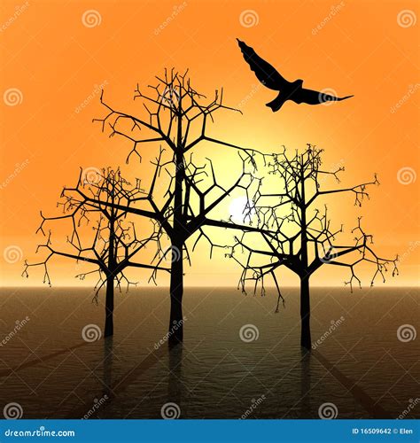 Trees And Bird Sunset Stock Photography Image 16509642
