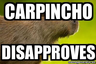 With tenor, maker of gif keyboard, add popular carpincho animated gifs to your conversations. Meme Personalizado - Carpincho disapproves - 31612586