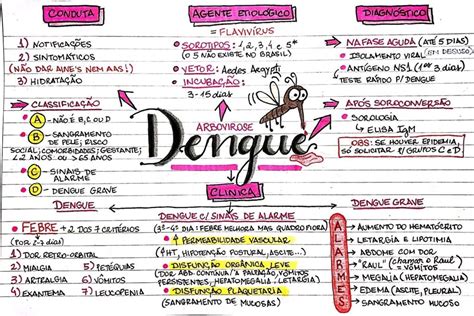 Mapa Mental Sobre A Dengue