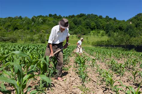 O Que é Agricultura Patronal