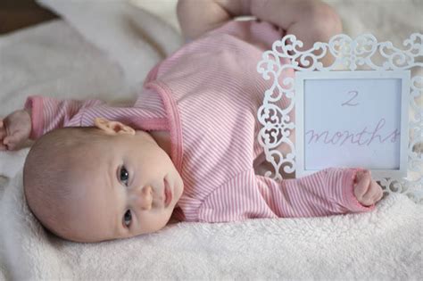 15 Cute Monthly Baby Photos Ideas Create Memories