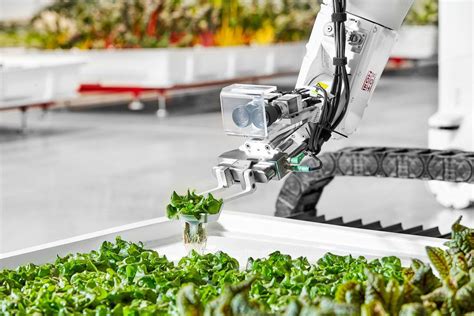 New Autonomous Farm Wants To Produce Food Without Human Workers Down