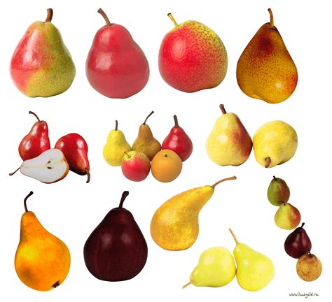Download Free Pears Clipart Png Image Icon Favicon Freepngimg
