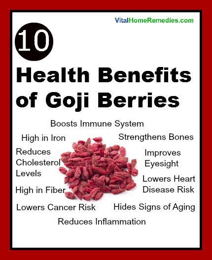 Health Benefits Of Goji Berries Vital Home Remedies Goji Berries