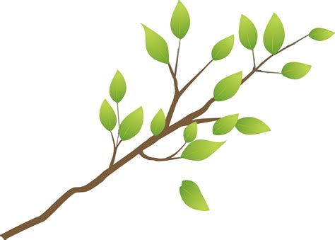 Tree Branch Stock Vector Illustration And Royalty Free Tree Branch