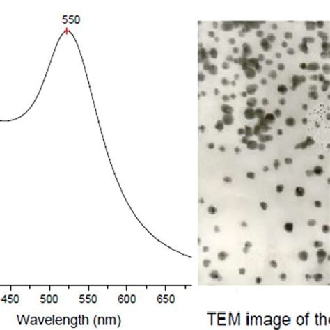Characterization Of Aunps By Uv Vis Spectrophotometer And Tem My XXX