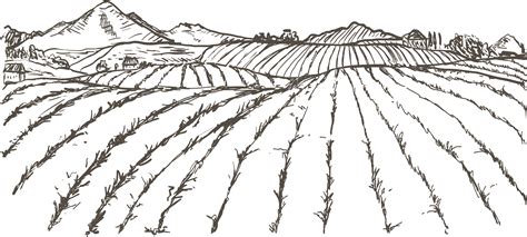 Farm Field Drawing At Explore Collection Of Farm