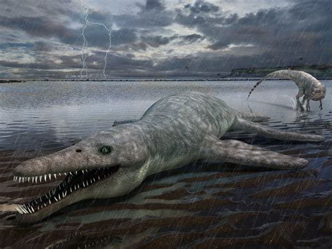 Liopleurodon Facts And Pictures