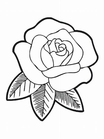 Rose Flowers Flower Coloring Simple Drawing Pages
